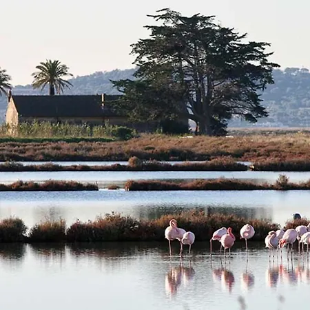 Le Moorea - For 4 People * Єр